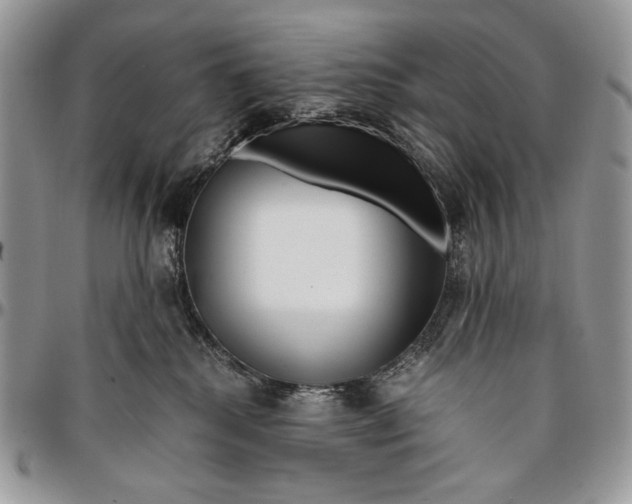 X0000096380280200802141438