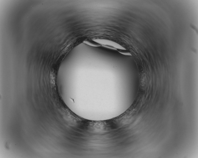 X0000096380282200802141438