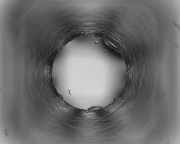 X0000096380283200802141438