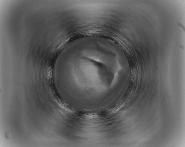 X0000096380284200802141438