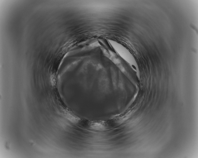 X0000096380285200802141438