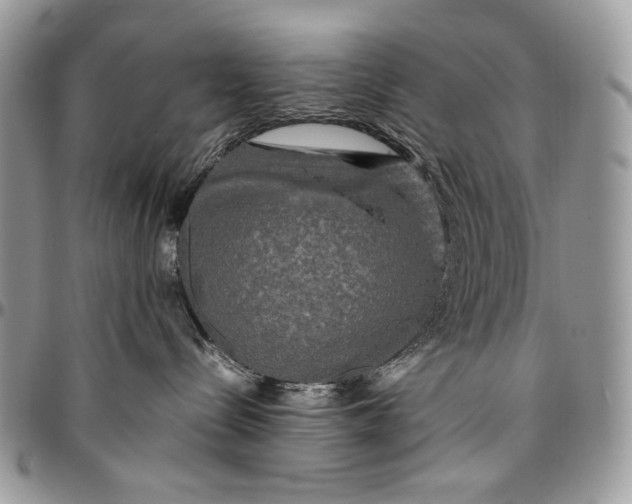 X0000096380288200802141438