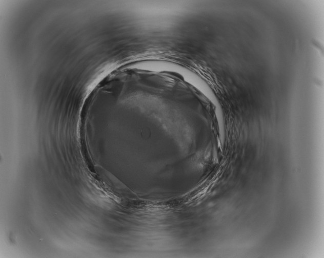 X0000096380292200802141438