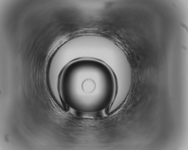 X0000096380293200802141438