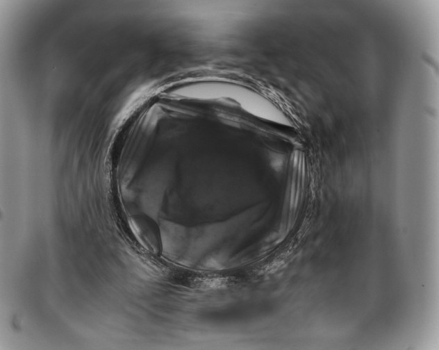 X0000096380295200802141438