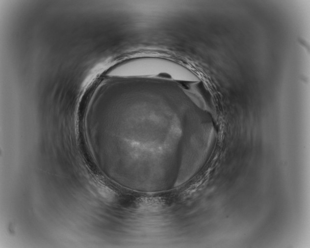 X0000096380296200802141438