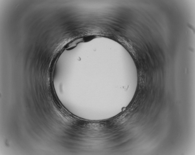 X0000096380298200802141438