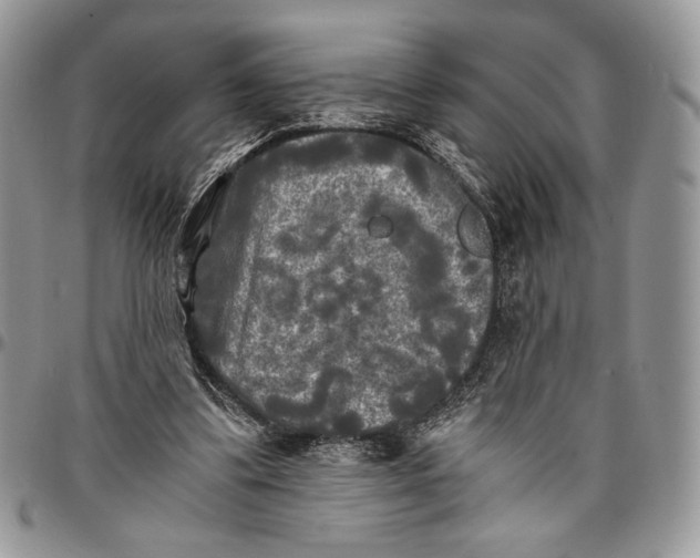 X0000096380299200802141438