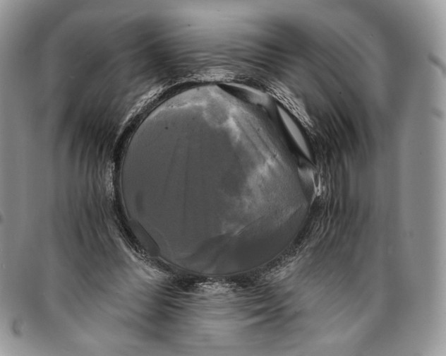 X0000096380300200802141438