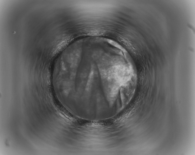 X0000096380303200802141438