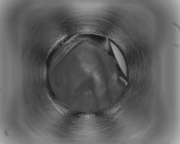 X0000096380304200802141438