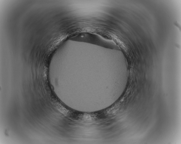 X0000096380305200802141438