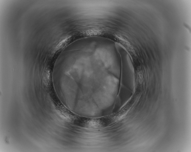 X0000096380308200802141438