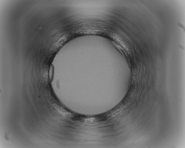 X0000096380309200802141438