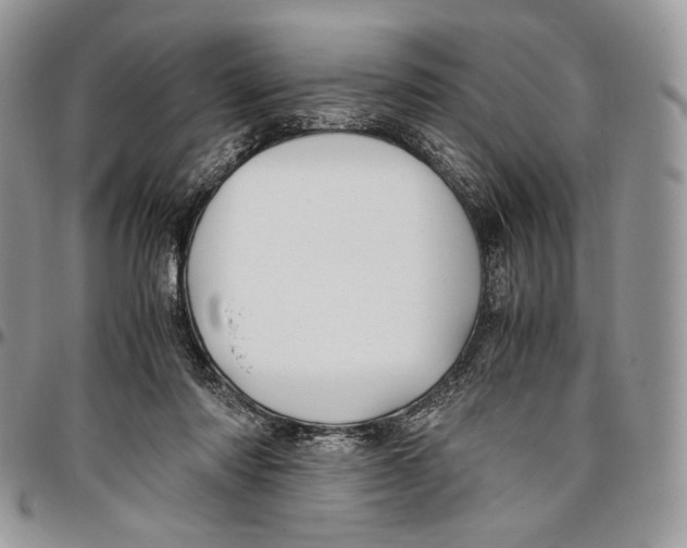 X0000096380310200802141438