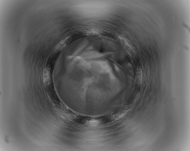 X0000096380312200802141437