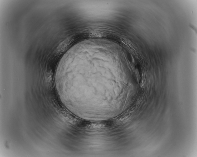 X0000096380314200802141437