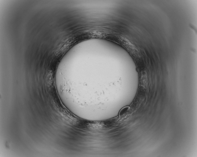 X0000096380318200802141437