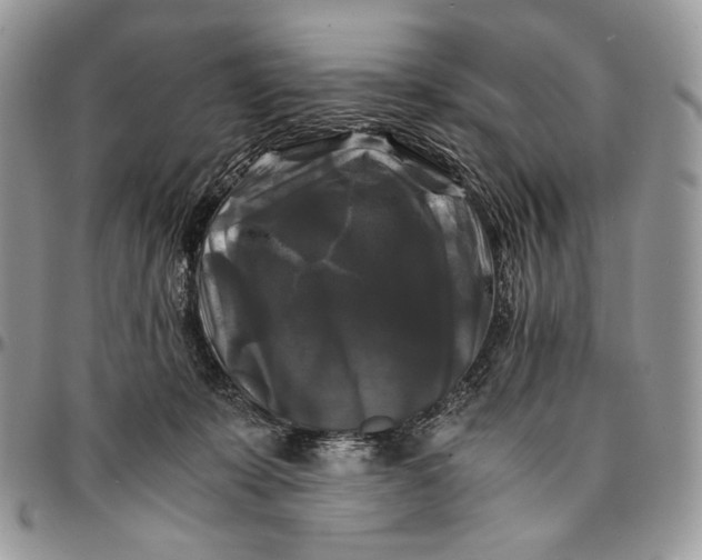 X0000096380319200802141437