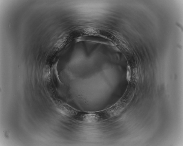 X0000096380320200802141437