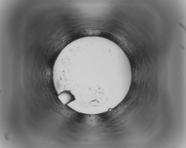 X0000096380321200802141437