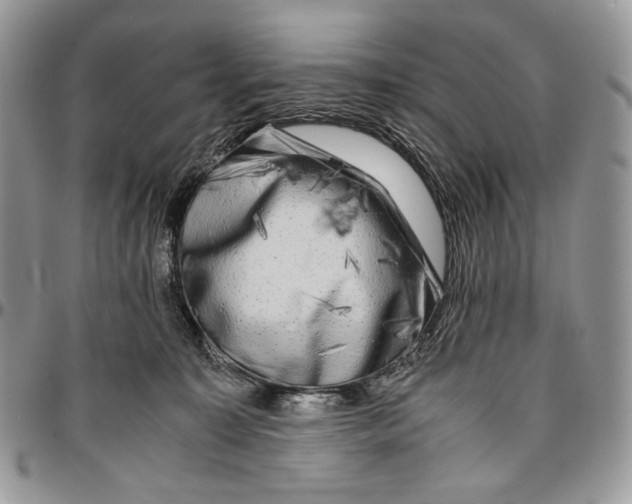 X0000096380323200802141437