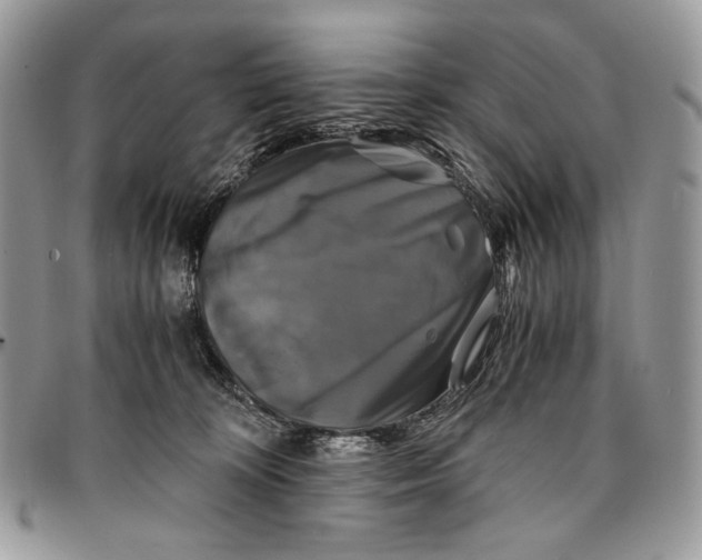 X0000096380324200802141437