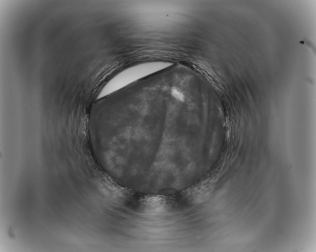 X0000096380325200802141437