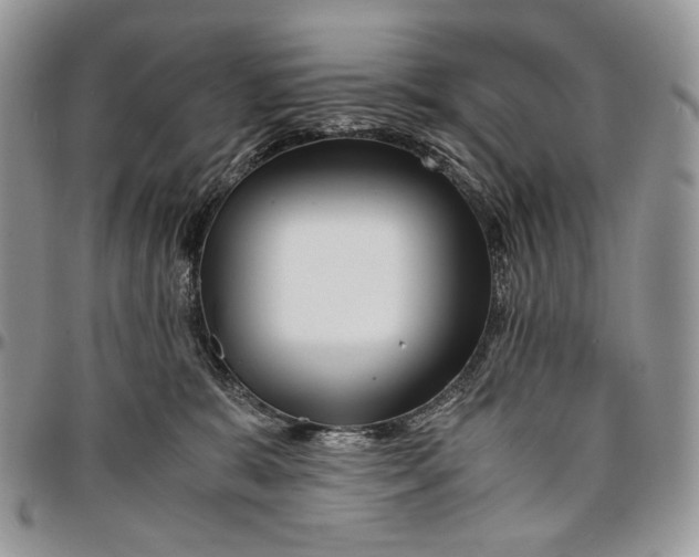 X0000096380327200802141437