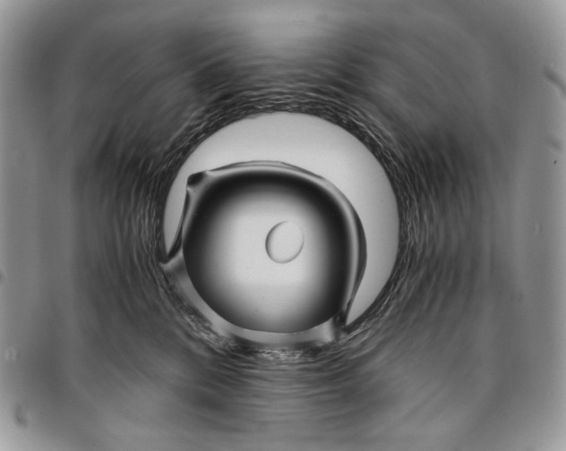 X0000096380328200802141437