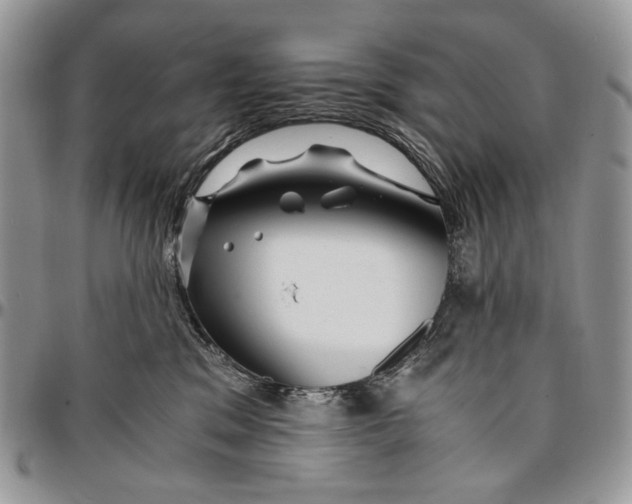 X0000096380329200802141437