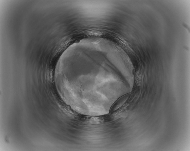 X0000096380330200802141437