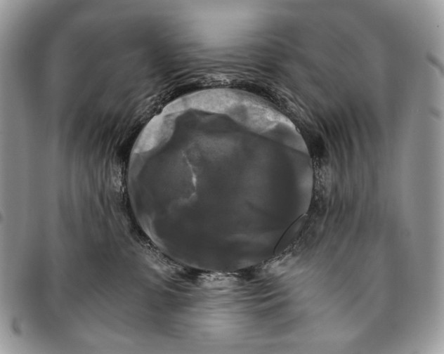 X0000096380331200802141437