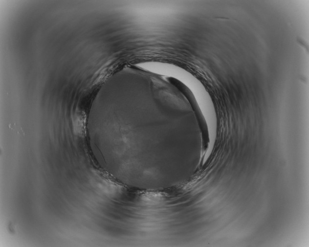 X0000096380332200802141437