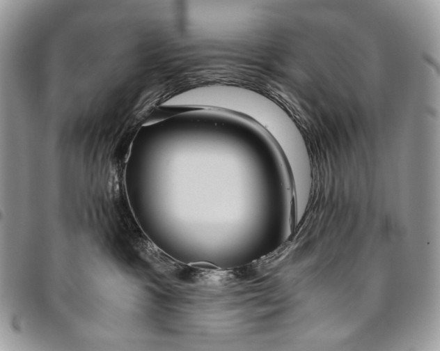 X0000096380333200802141437