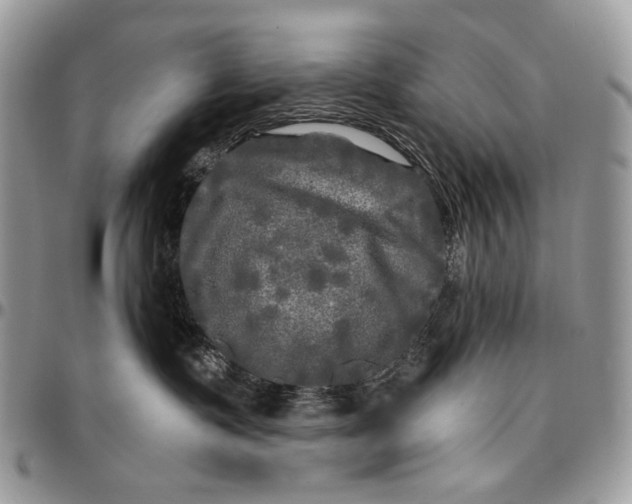 X0000096380335200802141437