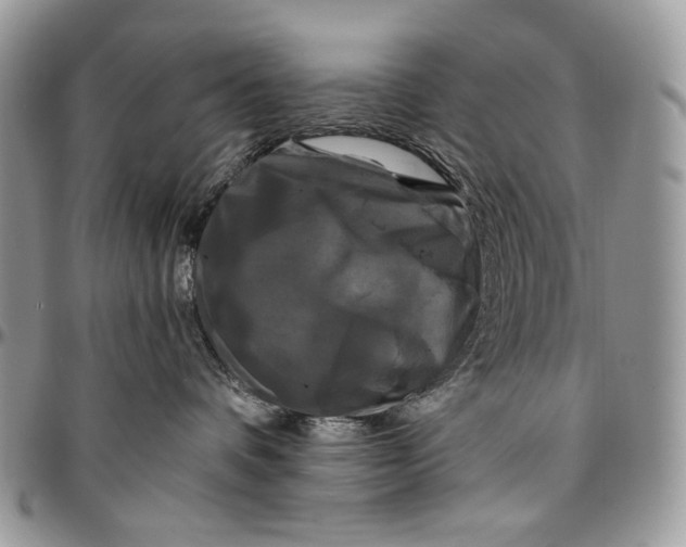 X0000096380336200802141437