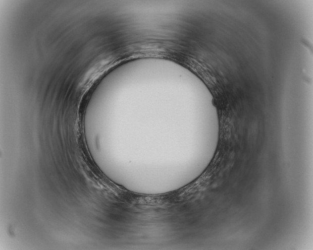 X0000096380338200802141436