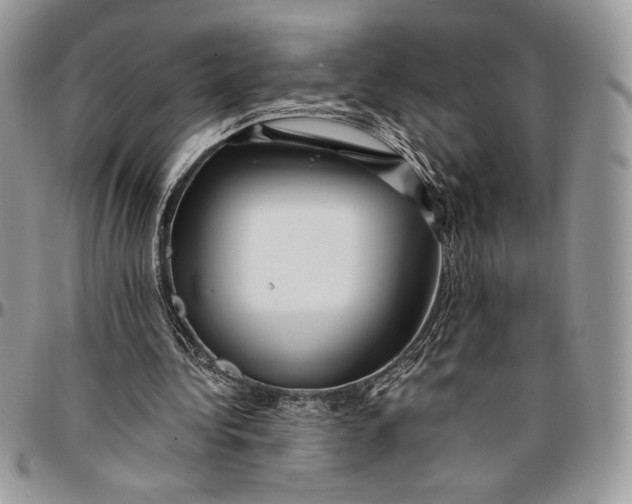 X0000096380340200802141436