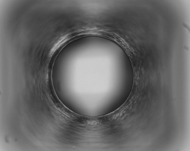 X0000096380344200802141436