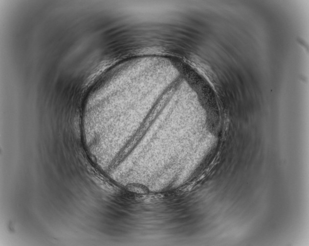 X0000096380345200802141436