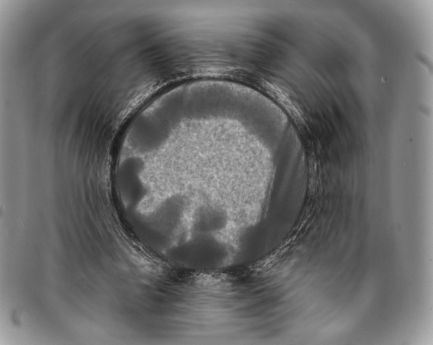 X0000096380346200802141436