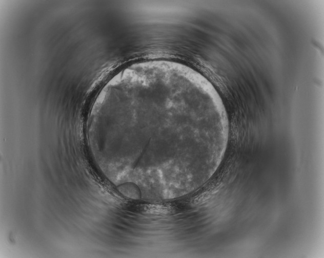 X0000096380347200802141436