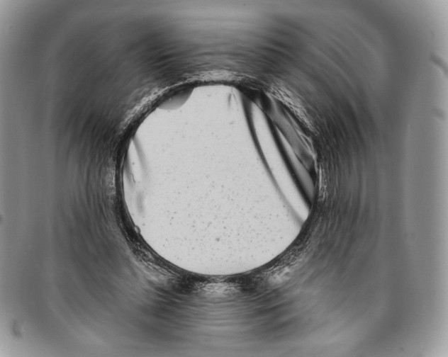 X0000096380348200802141436