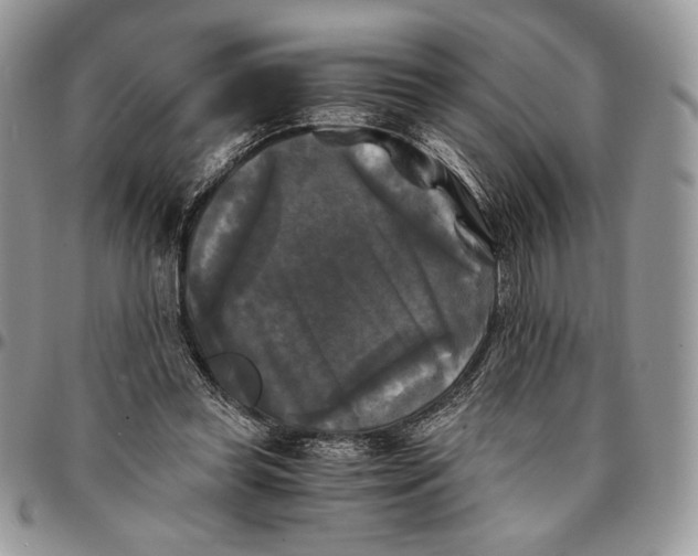 X0000096380349200802141437