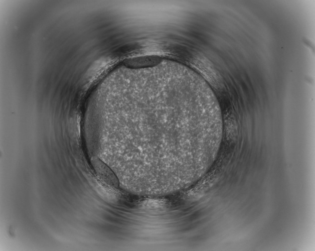 X0000096380350200802141437