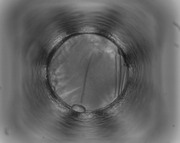 X0000096380351200802141437