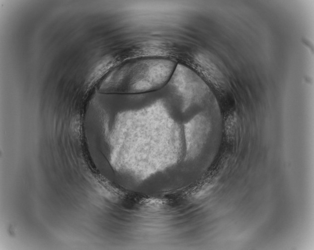 X0000096380352200802141437