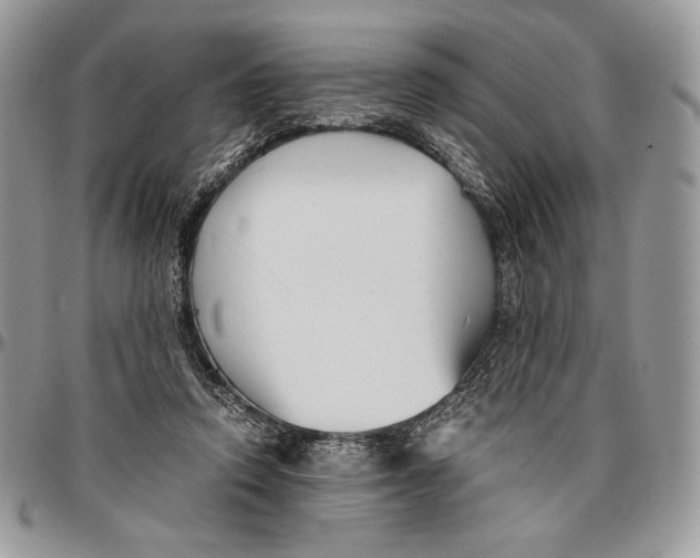 X0000096380354200802141437