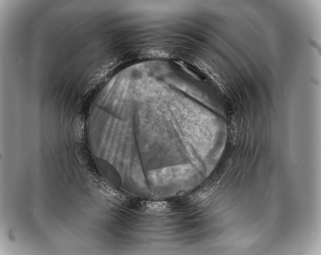 X0000096380355200802141437